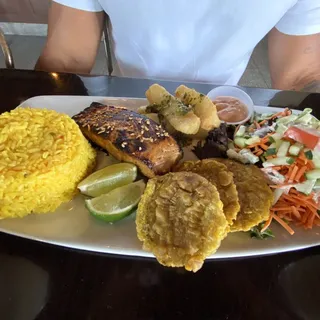 Salmon