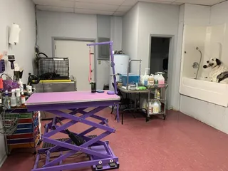 Heaven Sent Pet Grooming