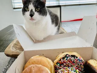 Manna Donuts