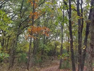Wallace State Park