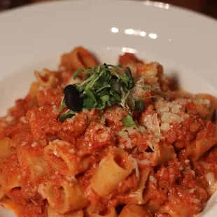 Bolognese