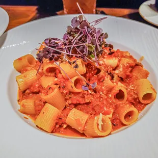 Mezzi Rigatoni Alla Bolognese