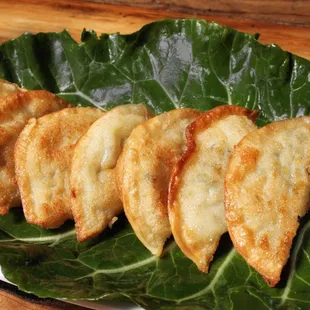 Fried Dumplings