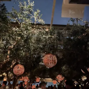 a group of people eating under a tree