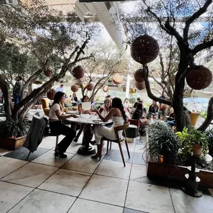 Restaurant seating area with my fave olive trees