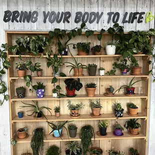 Love their plant wall!