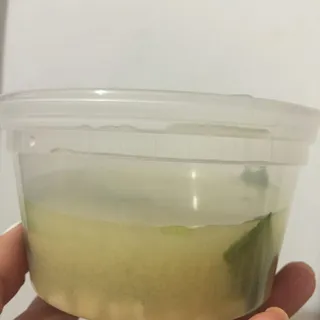 Miso Soup