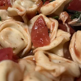 Cheese tortellini with tomato basil sauce