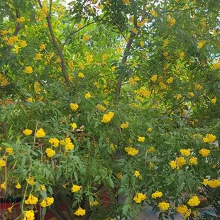 soups and chowder, interior