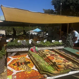 Fresh fruit and vegetable market as well as other items for sale.