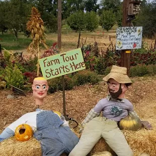 Love the concept of a community support native plants farm... Super cool