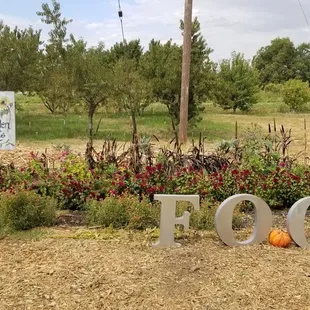 Very cool experience, we're so lucky as a community to have this place! Awesome