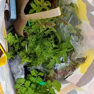 Soil Born Farms sells specialty herbs. They sell out quickly.