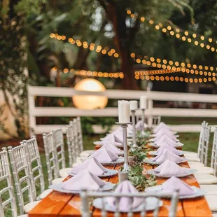 Reception Under the Stars