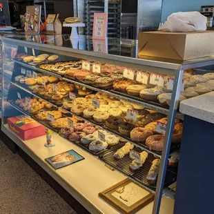 All the donuts