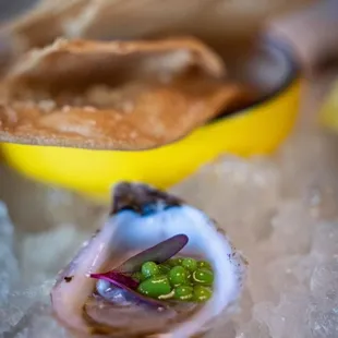 We loved all the food. Elevated small bites. Approachable, upscale bar food.