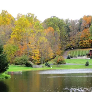Sojourner's woodlands aglow with fall foliage.
