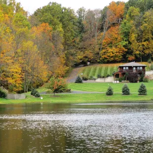 Autumn at Sojourners.