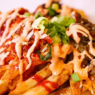 Loaded Fries with bulgogi beef