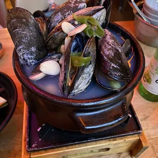 oysters and mussels, food, mussels, oysters, shellfish