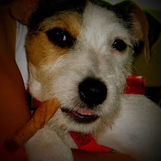 Benji R.