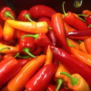 Local organically grown hot peppers