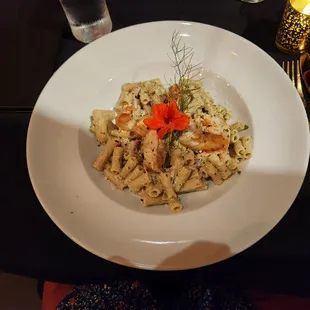 Shrimp Alfredo