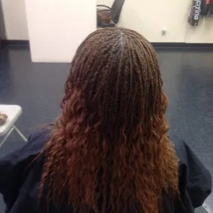 Microbraids done by Sola Braids. 09/24/15