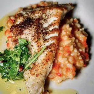 Fish special with lemon risotto