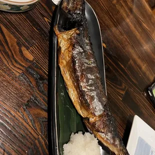 Mackerel fish
