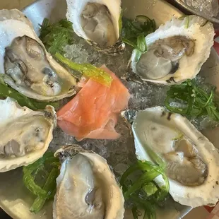 Oysters