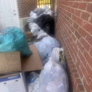 Vermin and garbage a river of effluvia