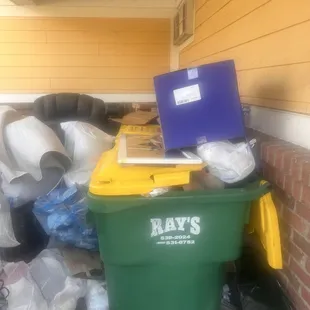 Yummy . Hot day rats scurried