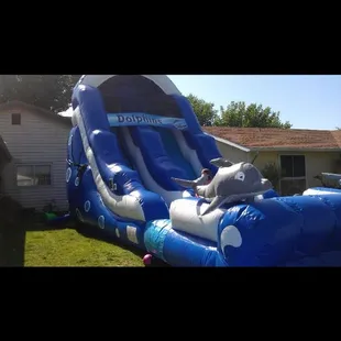 Huge Dolphin Slide to keep you cool!