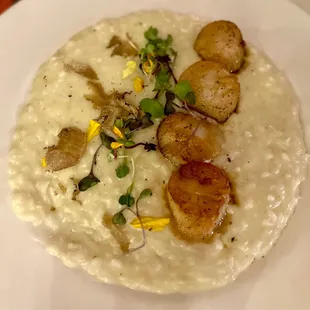 Scallop Risotto