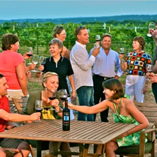 Party with the Vines