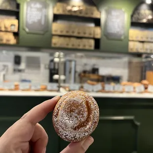 a hand holding a powdered donut
