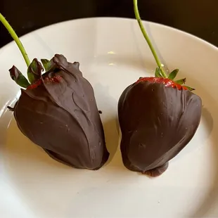 Chocolate covered strawberries for valentines day