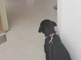 Bishop Veterinary Hospital