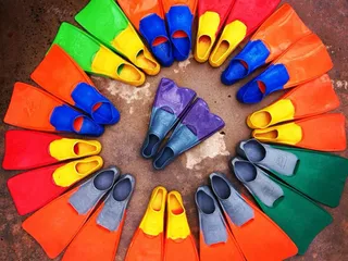 King Marlin Swim Club