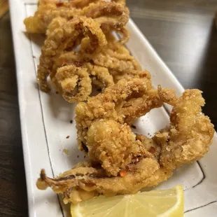 Squid