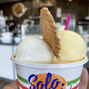 2 Scoops Gelato - Coconut &amp; Passion fruit