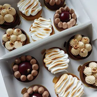 a dozen cupcakes in a box