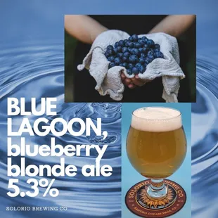 Blue Lagoon, blueberry blonde ale 5.3% has proven to be a favorite here at Solorio Brewing Co!