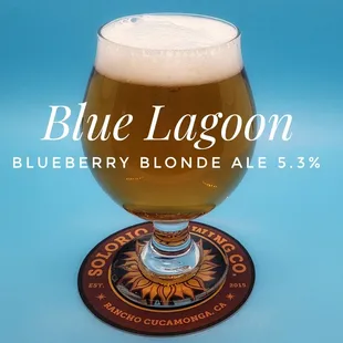 Blueberry Blonde Ale