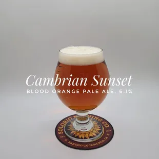 Blood Orange Pale