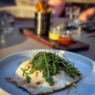 halibut fish