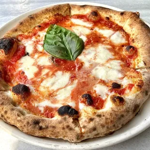 Margherita Pizza