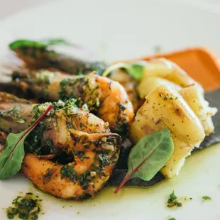 oysters, food, oysters and mussels, mussels, shellfish