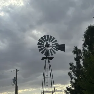 Windmill outside of winery